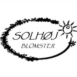 Solhøj blomster, Støvring åbningstider