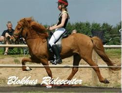 Blokhus Ridecenter, Pandrup åbningstider