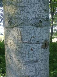 Inspiratoriet, Samsø åbningstider