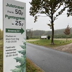 Juletræsmanden.dk v/Klaus Kaltoft, Them åbningstider