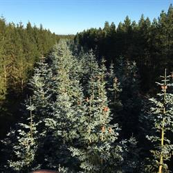 Bøggild og Rasmussen, Vemb åbningstider