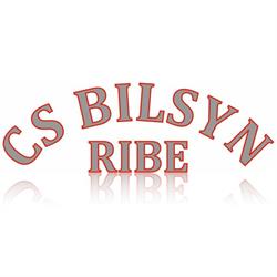 Cs Bilsyn Aps, Ribe åbningstider