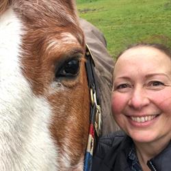 Sarahs Hestemassage, København åbningstider
