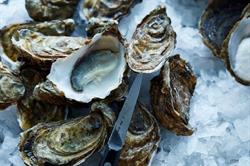 The Pescatarian, København åbningstider