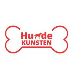 HundeKunsten, Nexø åbningstider
