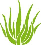Aloe Vera Forever DK - Dansk officiel Forever Living forhandler, Holstebro åbningstider