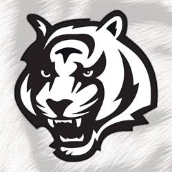 Aarhus Tigers, Viby J åbningstider