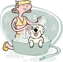 Grænselandets Hundesalon, Bylderup-Bov åbningstider