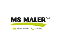 MS Maler, Nyborg åbningstider