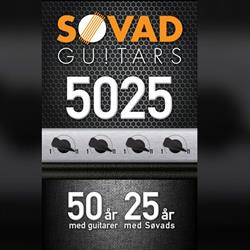 Søvad Guitars, Esbjerg åbningstider