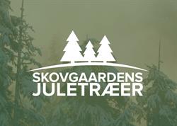 Skovgaardens Juletræer, Horsens åbningstider
