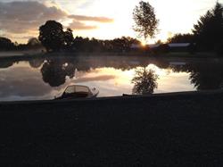 Truust Mølle Fiskepark, Fårvang åbningstider