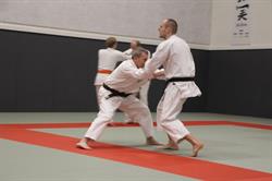 Vejle Jiu Jitsu Klub, åbningstider