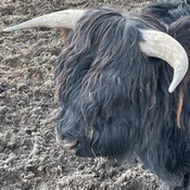 Naturcenter Kildegården, Herlev åbningstider