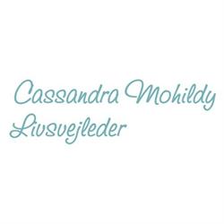 Wise World Academy v/Cassandra Mohildy i København (Ø) åbningstider