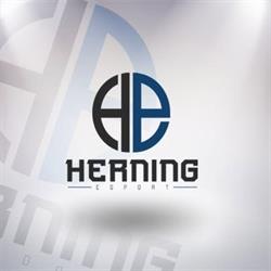 Herning Esport, åbningstider