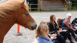 Horse and humanship, Stege åbningstider