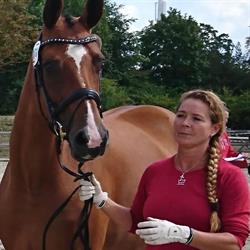 Plus Horses, Klippinge åbningstider