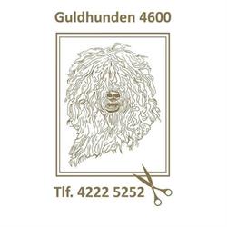 Guldhunden 4600, Køge åbningstider