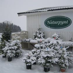 Naturpynt, Gadstrup åbningstider