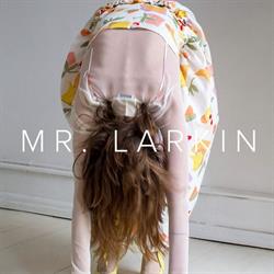 Mr. Larkin i Frederiksberg (C) åbningstider
