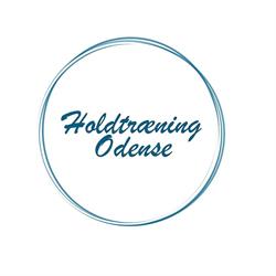 Holdtræning Odense ApS, åbningstider