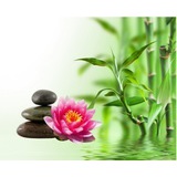 Thaimassage Holstebro, åbningstider
