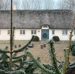 Holdflod Juletræer, Vildbjerg åbningstider