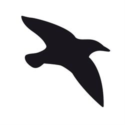 Starling Air, Svendborg åbningstider