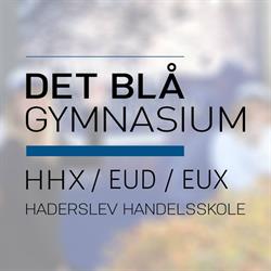 Det Blå Gymnasium, Haderslev åbningstider