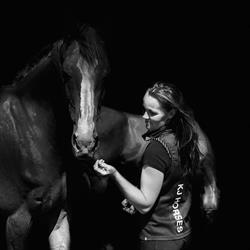 KJ Horses, Nørre Snede åbningstider