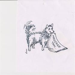 Kibaji - Velvære til hund, Lejre åbningstider