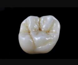 Dental Laboratorium ApS, Hillerød åbningstider