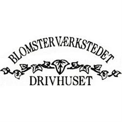 Trine Arentsen, Gentofte åbningstider