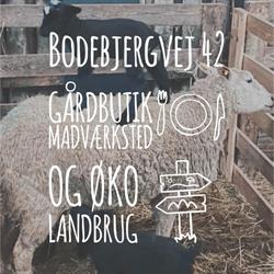 Bodebjergvej 42, Glamsbjerg åbningstider