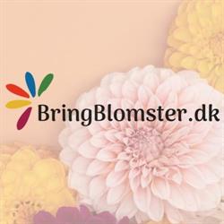 BringBlomster, Galten åbningstider