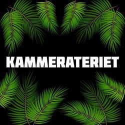 Kammerateriet på Svendborg Havn, åbningstider