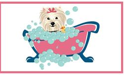 Tines Hundesalon, Aalestrup åbningstider