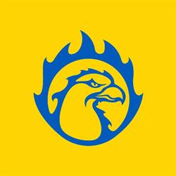 Odense Esport, åbningstider