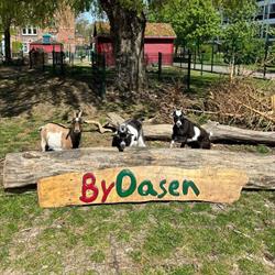 ByOasen i København (København N) åbningstider