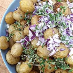 Jeanette's Cuisine v/ Jeanette Kaasgaard, Kongerslev åbningstider