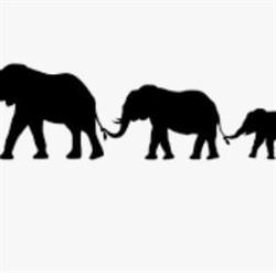 Elefant Apoteket Jyderup, åbningstider