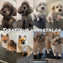 Svenstrup Hundesalon, åbningstider