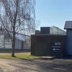 Schroll Flowers' Gårdbutik, Årslev åbningstider