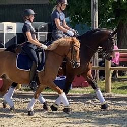 Boegekilde Equestrian, Lille Skensved åbningstider