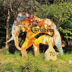 The Rusty Elephant Farm & Bakery, Thisted åbningstider