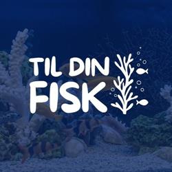 Tildinfisk.dk, Haslev åbningstider