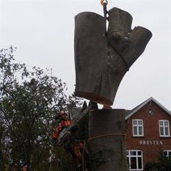 AP Træfældning - Danish Arborist, Nibe åbningstider