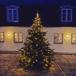 Vibekærgaard Juletræer - Fæld selv, Roskilde åbningstider