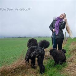 Sorring Hundesalon, åbningstider